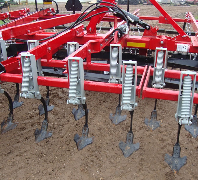 seedbed_6